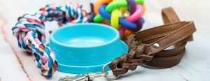 Colorful dog toys, a blue food bowl, and a brown leather leash on a light surface.