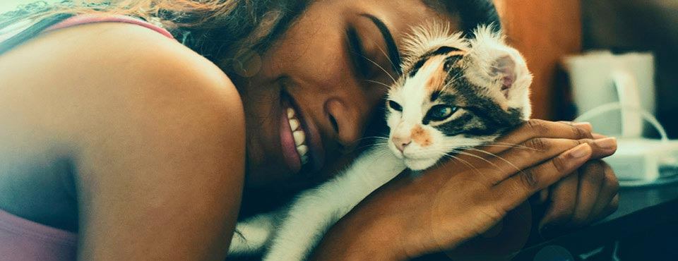 Person smiling while resting their head on their arms, cuddling a relaxed cat with brown and white fur.