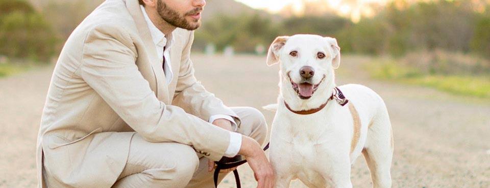 A man in a light suit crouches beside a happy white dog on a leash, outdoors on a gravel path with greenery in the background.