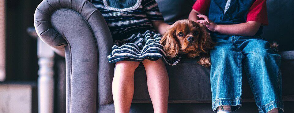 Two children sitting on a sofa with a brown dog between them. The children wear casual clothes, and the dog looks at the camera.