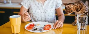 Person eating breakfast with a plate featuring a cat design, sliced tomatoes, an egg, a mug, and a cat nearby on the table.