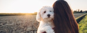 A woman with long hair holding a fluffy white dog in a sunlit field at sunset.