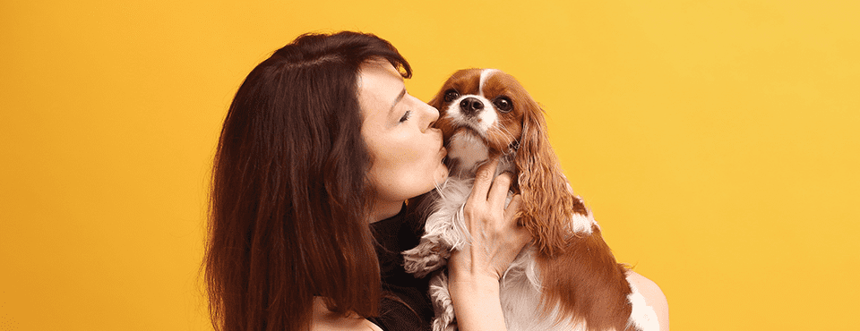 Woman kissing a small brown and white dog against a vibrant yellow background.