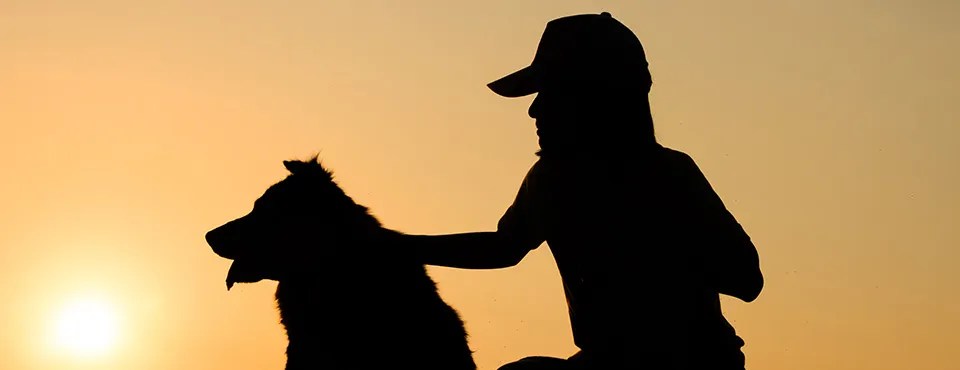 Silhouette of a person with a cap sitting beside a dog at sunset.