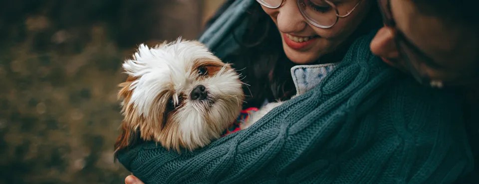 A fluffy dog is nestled in the arms of two people wearing cozy sweaters, sharing a warm embrace outdoors.