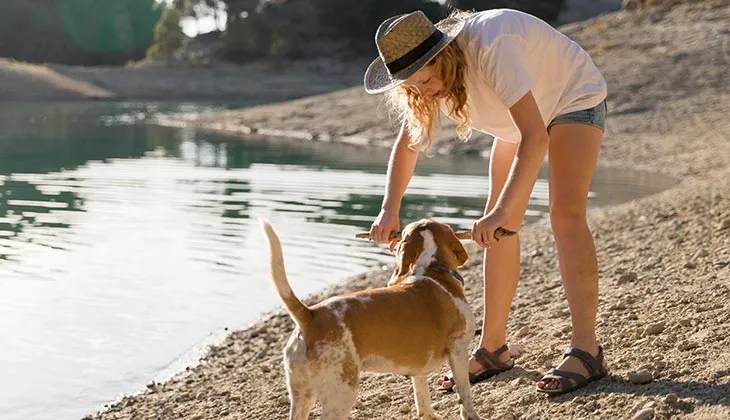 A person wearing a hat, white t-shirt, and shorts plays with a dog on a sandy lakeshore. They are holding a stick, while the dog looks at it eagerly.